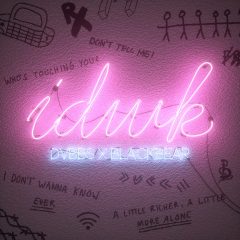 « IDWK », le nouveau clip de DVBBS et Blackbear !